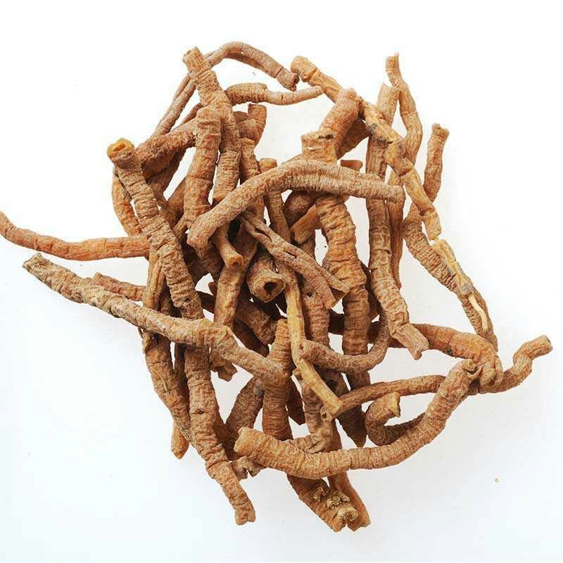 远志，常年供应批发中药材