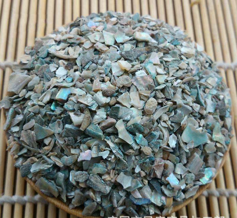 石决明，常年批发供应冷背中药材，石决明