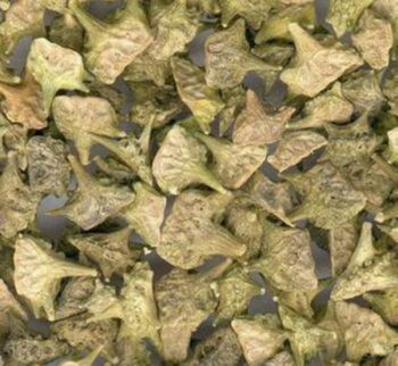 蒺藜，常年批发供应蒺藜中药材，量大从优