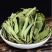 甜叶菊，常年供应中药材甜叶菊，量大从优