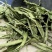 甜叶菊，常年供应中药材甜叶菊，量大从优