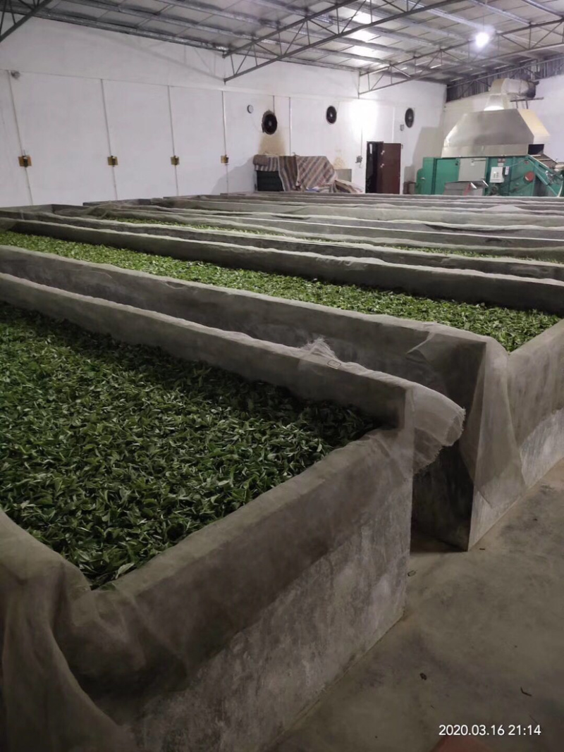 英德红茶