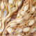 海南本地区农家小作坊晒干槟榔花