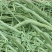 猫尾草籽种提摩西进口草籽兔子牛羊马家禽适合