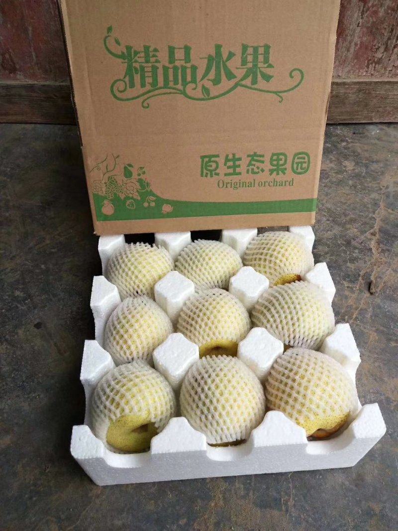 砀山酥梨