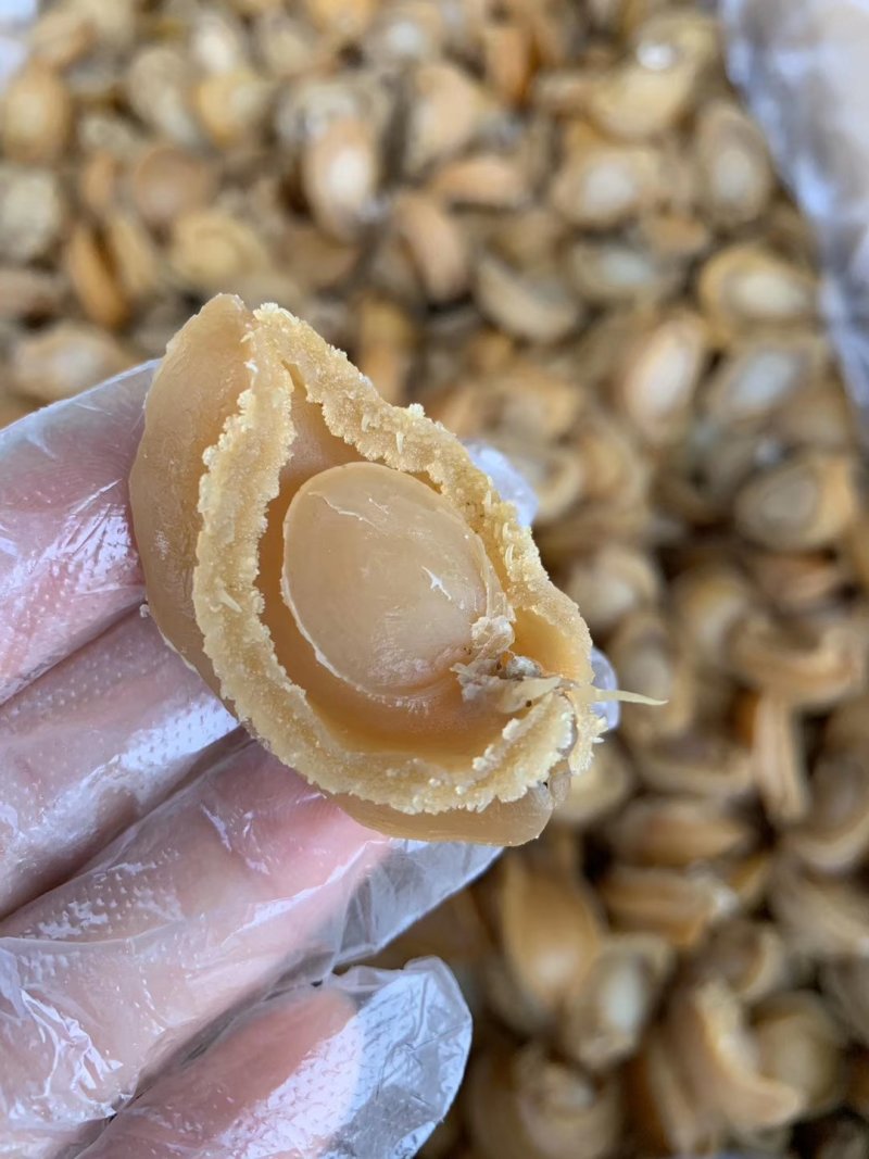 鲍鱼干新鲜鲍鱼干货250克50头新鲜活大鲍鱼制成大鲍鱼干