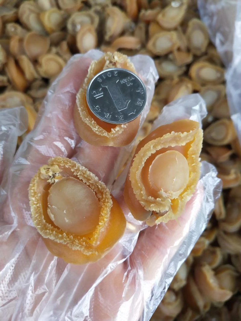 鲍鱼干新鲜鲍鱼干货250克50头新鲜活大鲍鱼制成大鲍鱼干