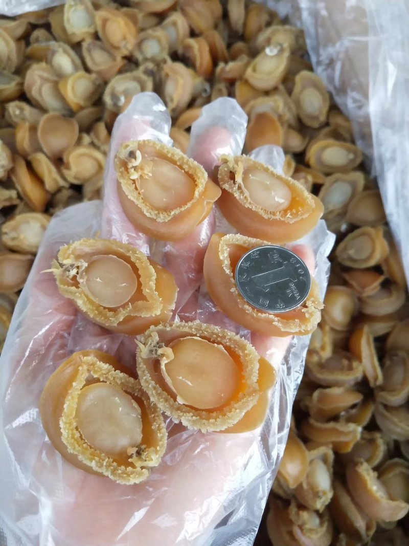 鲍鱼干新鲜鲍鱼干货250克50头新鲜活大鲍鱼制成大鲍鱼干