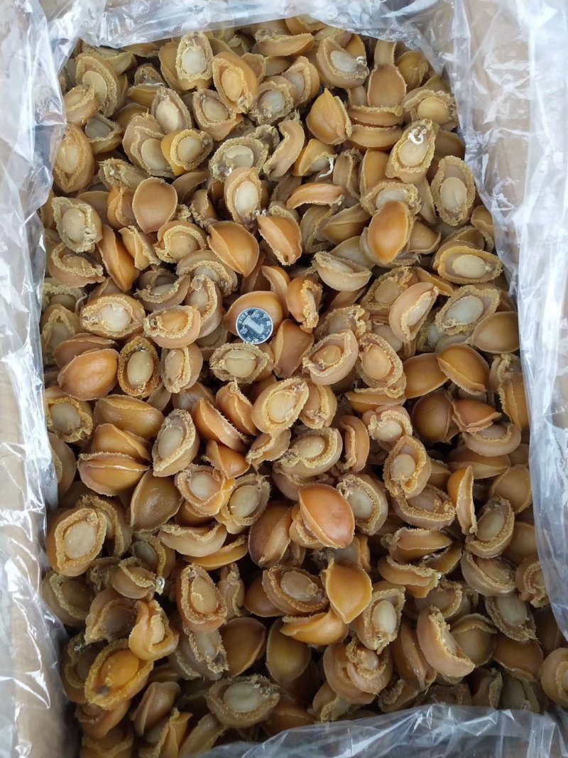 鲍鱼干新鲜鲍鱼干货250克50头新鲜活大鲍鱼制成大鲍鱼干