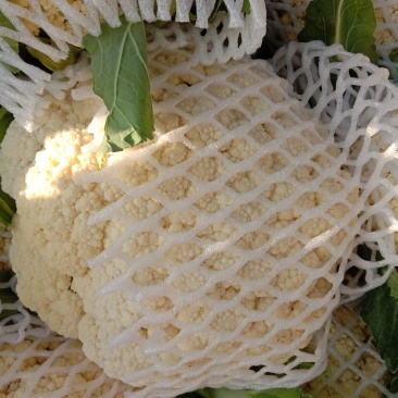 菜花