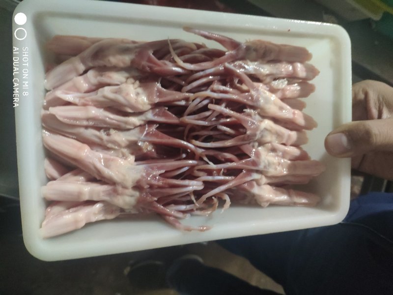 稳定货源，白条鸭及鸭副产品，大厂质量放心