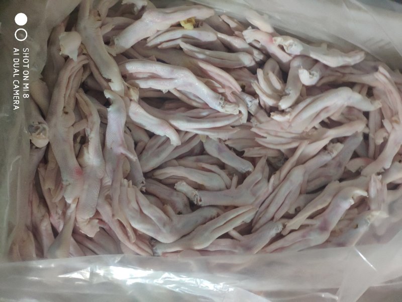稳定货源，白条鸭及鸭副产品，大厂质量放心
