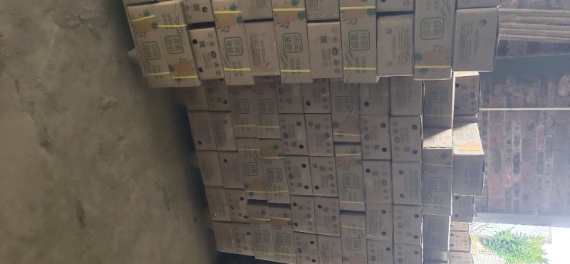 湛江小菠萝一件代发包邮包售后