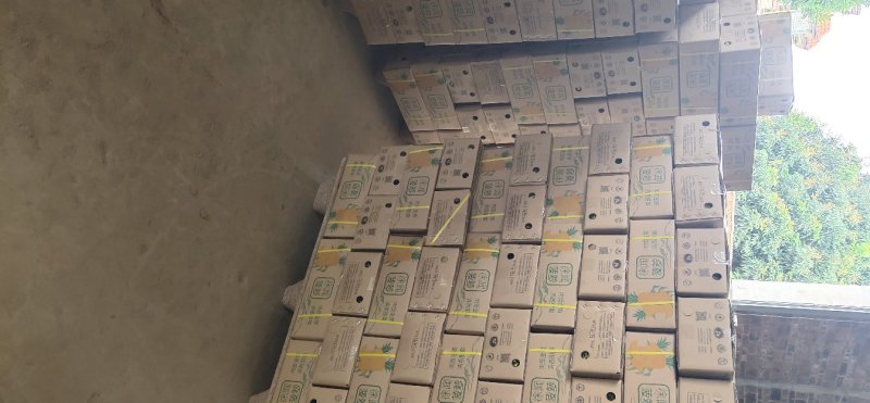 湛江小菠萝一件代发包邮包售后