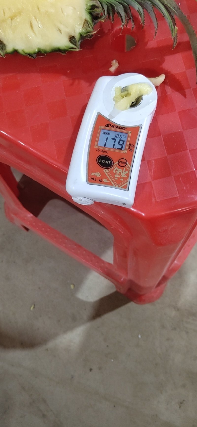 湛江小菠萝一件代发包邮包售后
