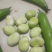 热卖！四川胡豆，蚕豆每天现摘现发。保质，保量。