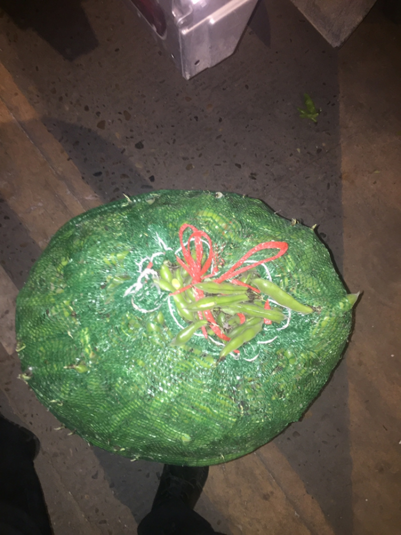 热卖！四川胡豆，蚕豆每天现摘现发。保质，保量。
