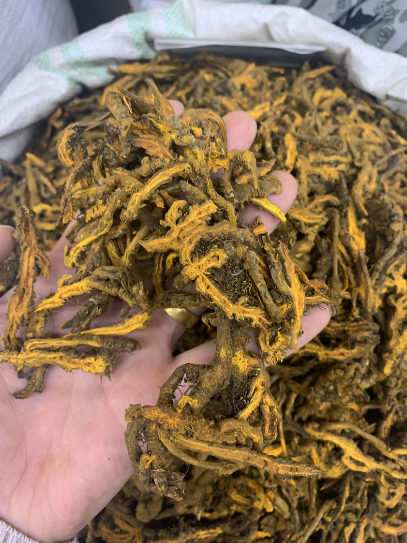 黄连单枝莲鸡爪连无硫磺熏蒸一公斤起批