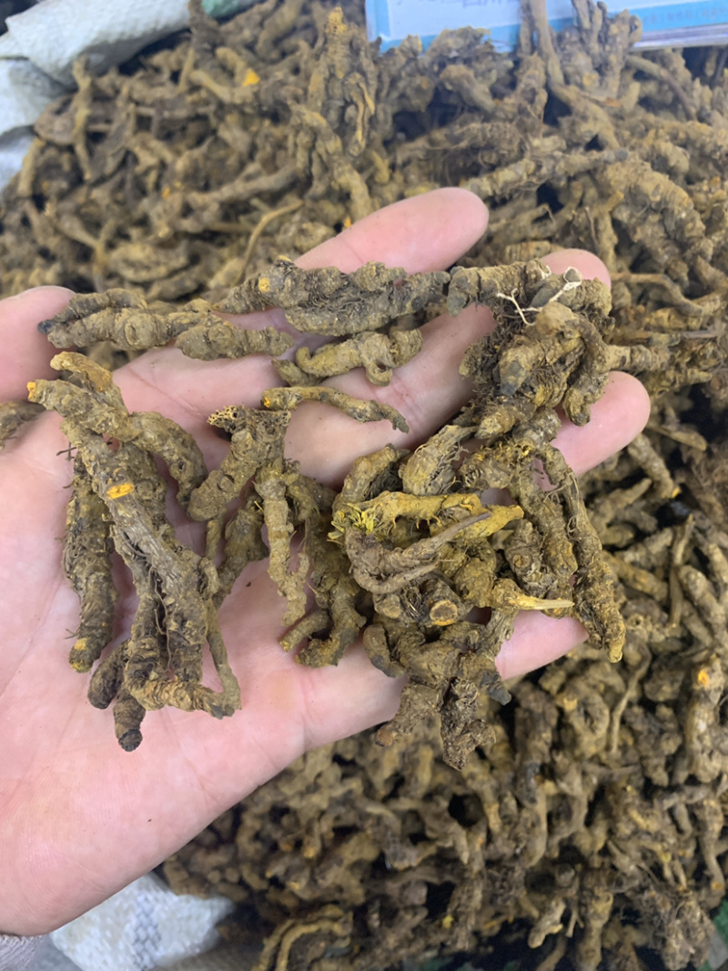 黄连单枝莲鸡爪连无硫磺熏蒸一公斤起批