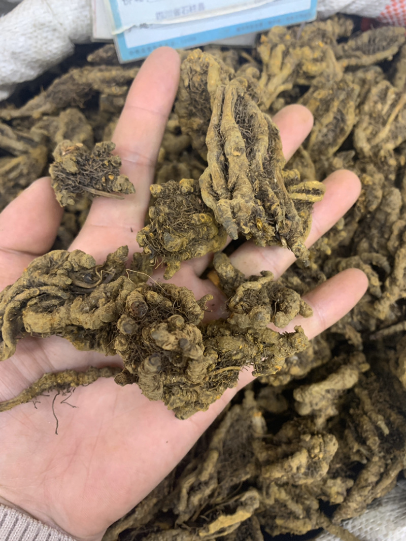 黄连单枝莲鸡爪连无硫磺熏蒸一公斤起批