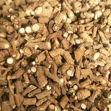 藏柴胡，北柴胡，常年批发供应各种规格柴胡