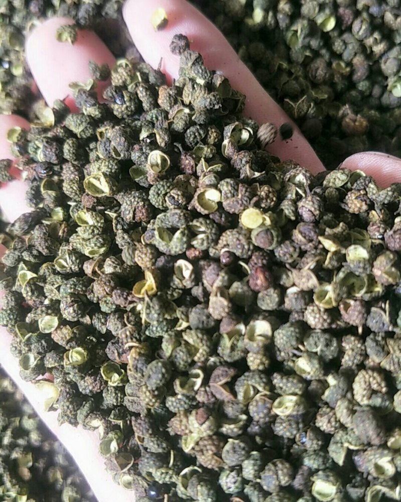 花椒，常年批发供应药食同源花椒，