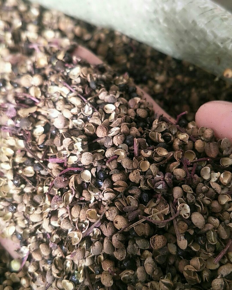 花椒，常年批发供应药食同源花椒，