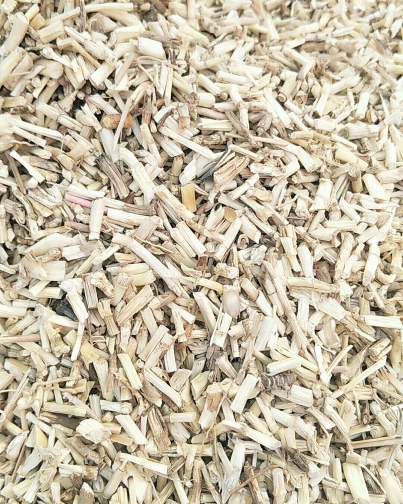 毛根，常年批发供应白茅根，量大从优