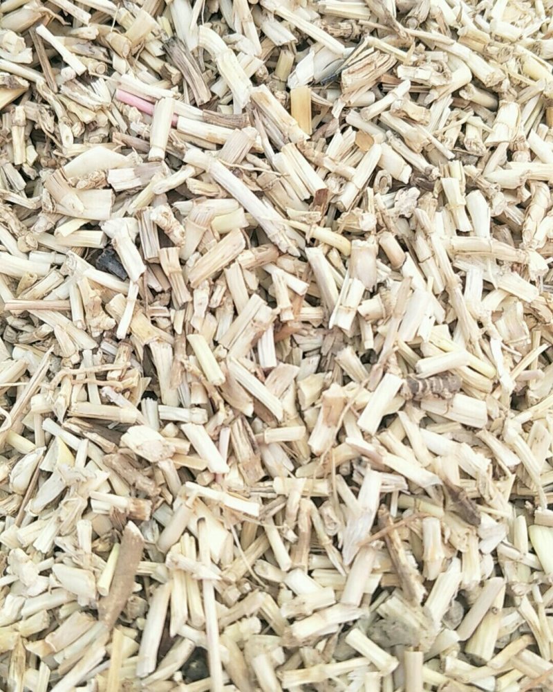 毛根，常年批发供应白茅根，量大从优