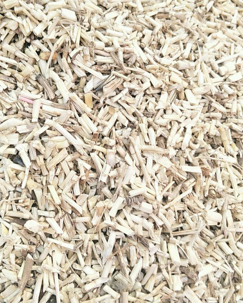 毛根，常年批发供应白茅根，量大从优
