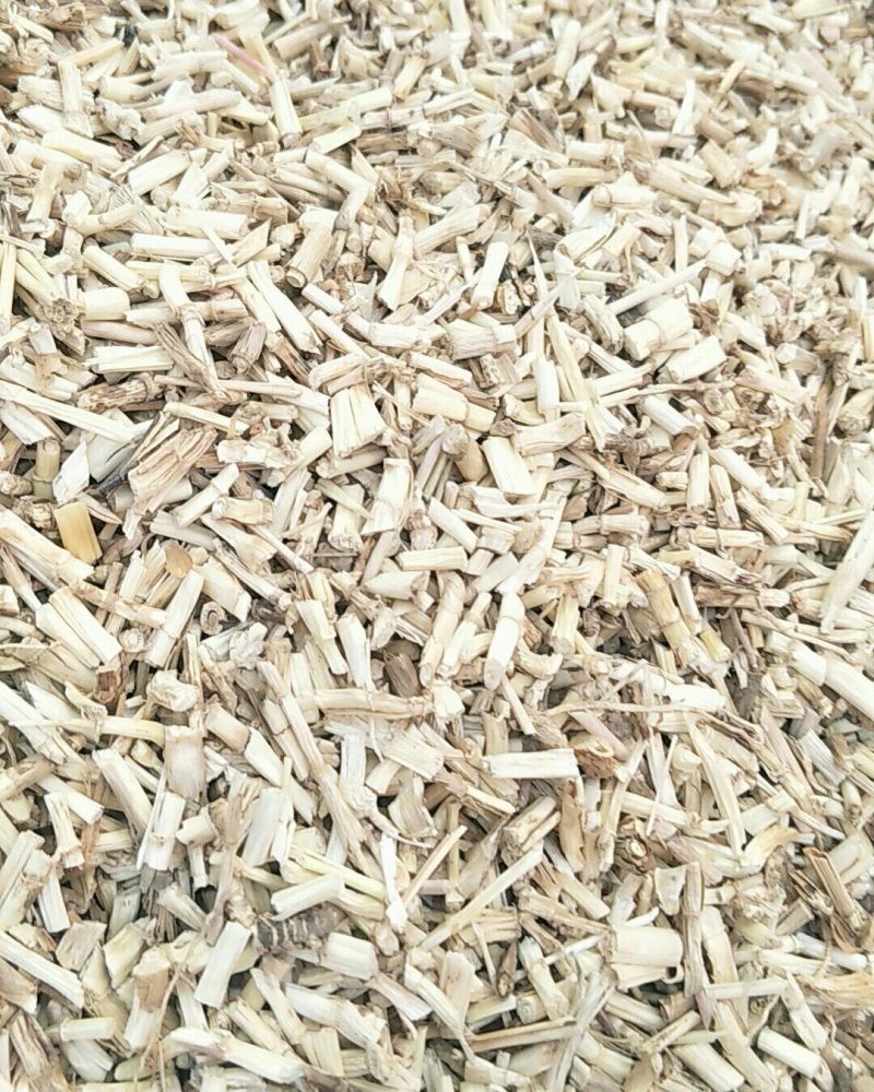毛根，常年批发供应白茅根，量大从优