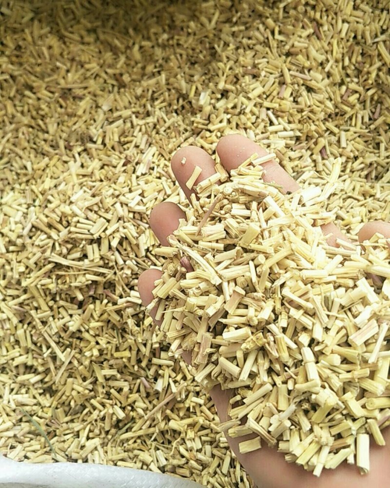 毛根，常年批发供应白茅根，量大从优