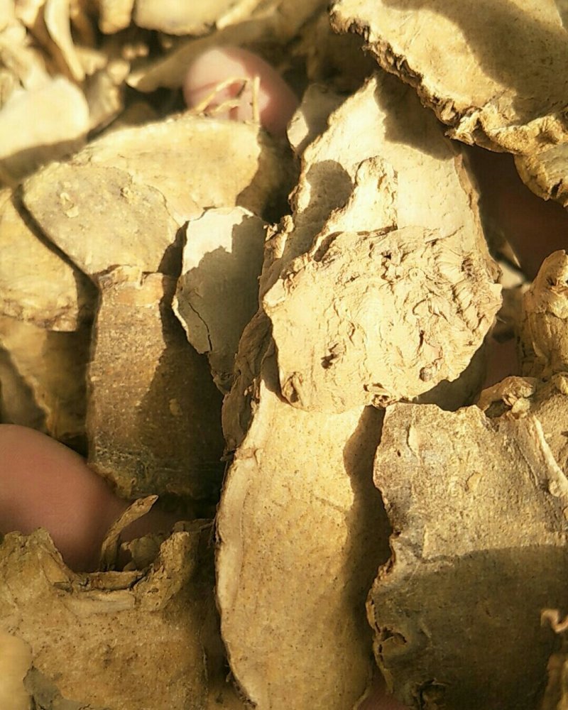 片姜黄，常年批发供应骗姜黄中药材