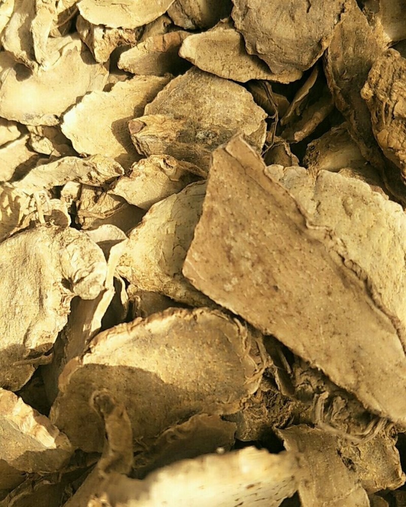 片姜黄，常年批发供应骗姜黄中药材