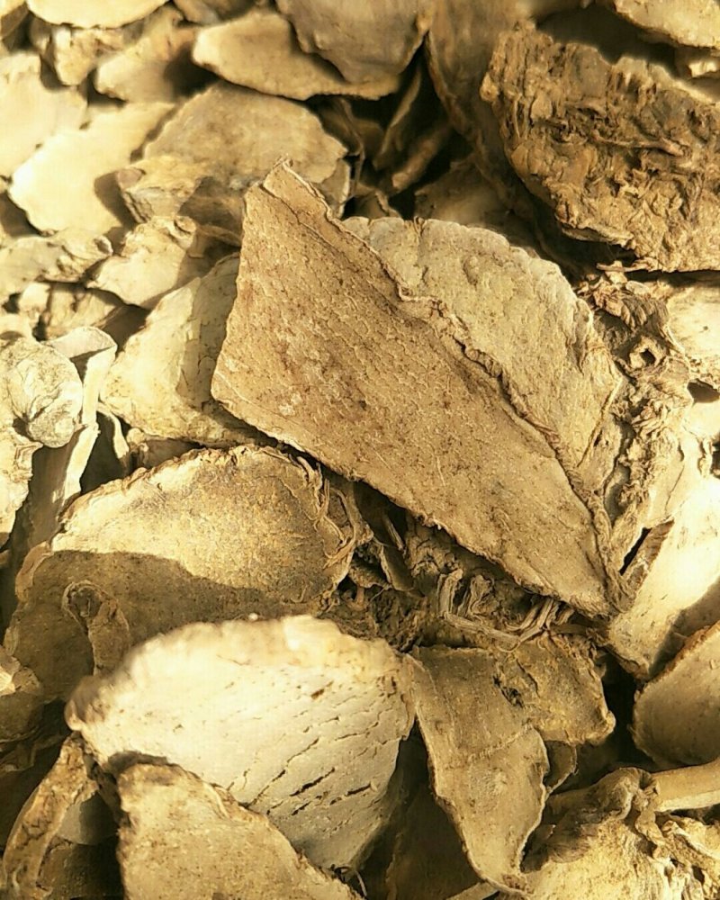 片姜黄，常年批发供应骗姜黄中药材