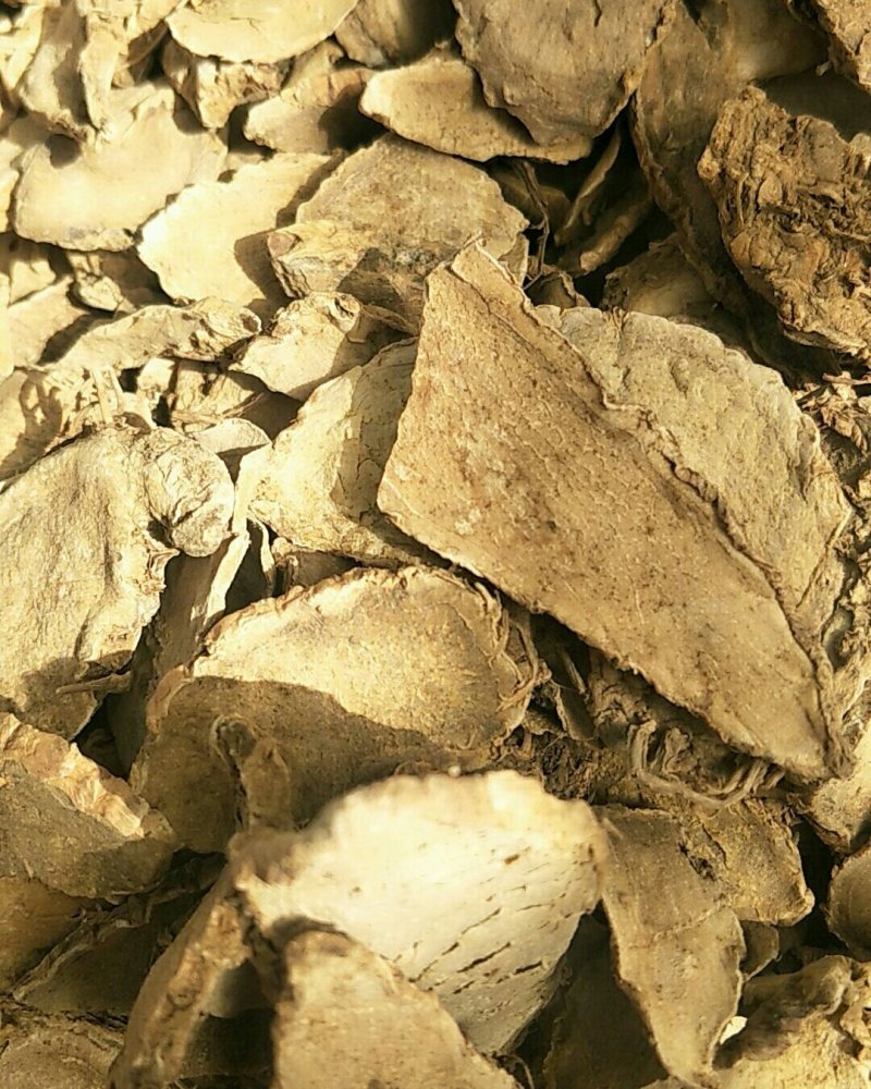 片姜黄，常年批发供应骗姜黄中药材