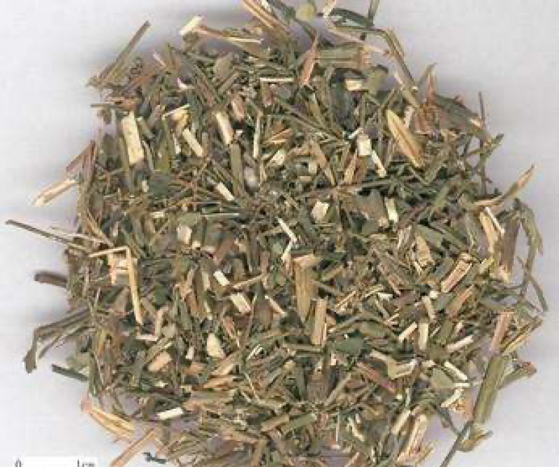 穿心莲中药材批发产地直销量大