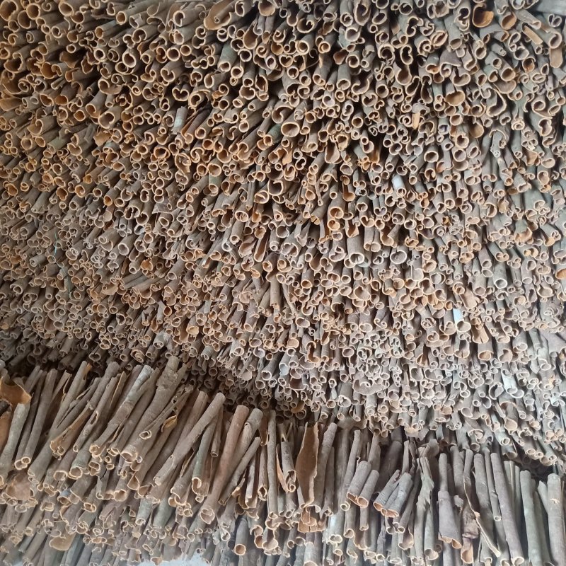 玉桂，桂皮，肉桂，桂通，