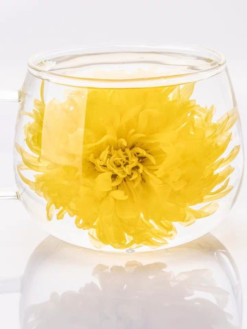 金丝皇菊
