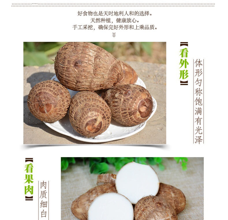 【亏本冲量】农家小芋头毛芋头5斤装营养丰富软糯丝滑