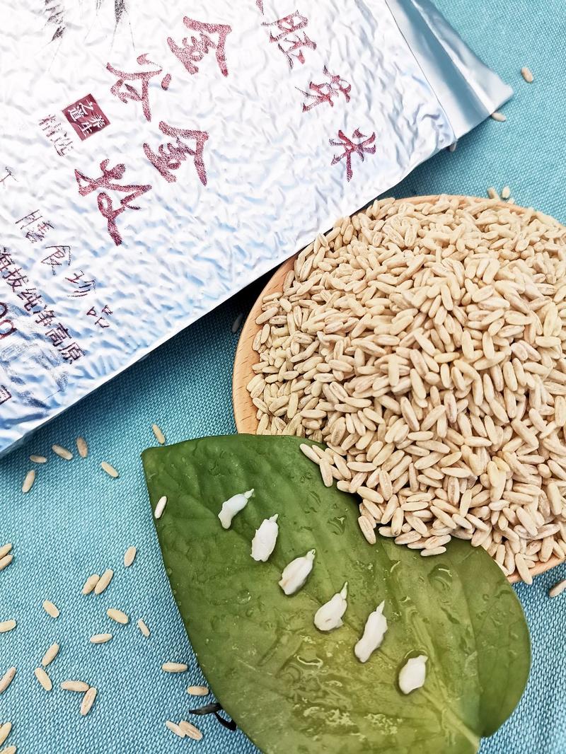 燕麦胚芽米来自内蒙古草原