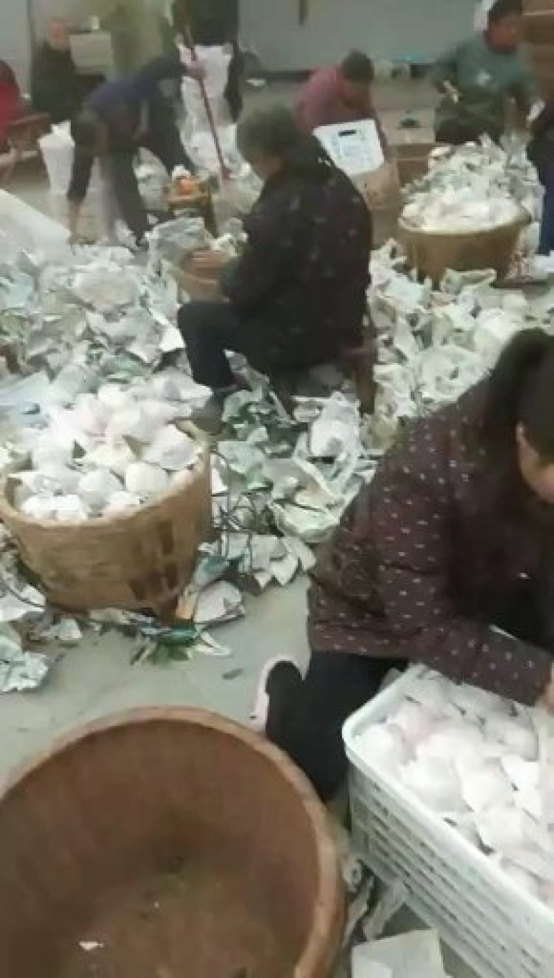 代办不知火商品果