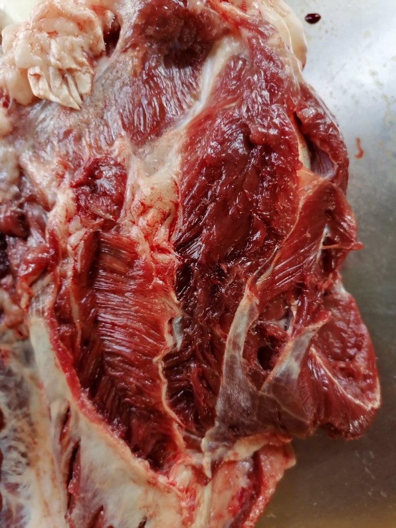 今日份鲜驴肉，现杀现宰，无注水