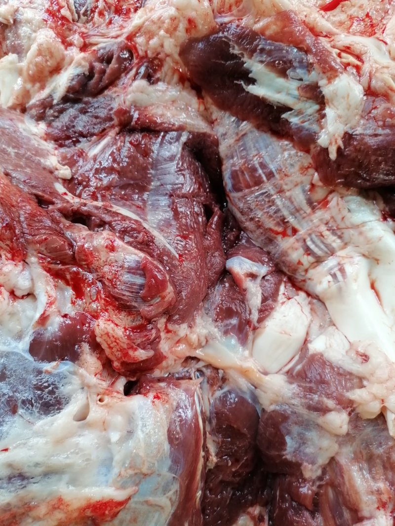 今日份鲜驴肉，现杀现宰，无注水