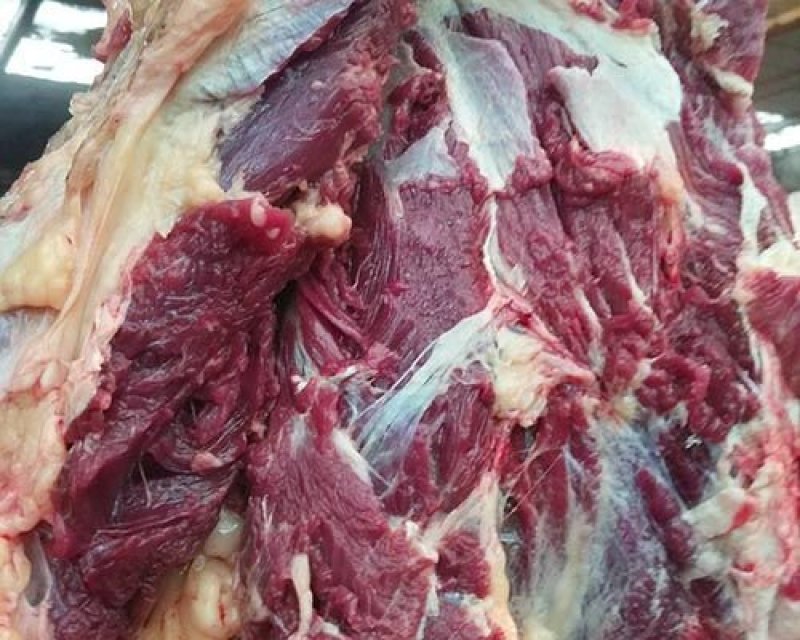 今日份鲜驴肉，现杀现宰，无注水