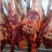 今日份鲜驴肉，现杀现宰，无注水