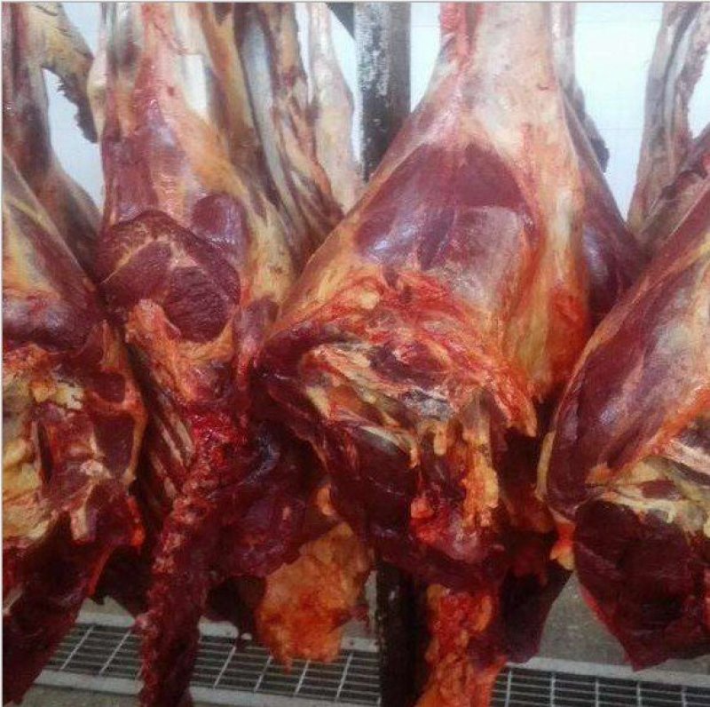 今日份鲜驴肉，现杀现宰，无注水