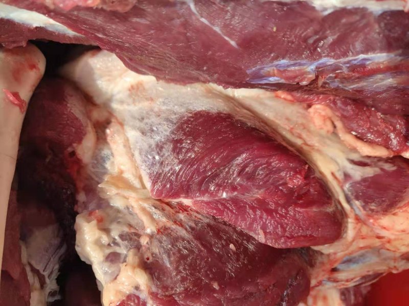 今日份鲜驴肉，现杀现宰，无注水