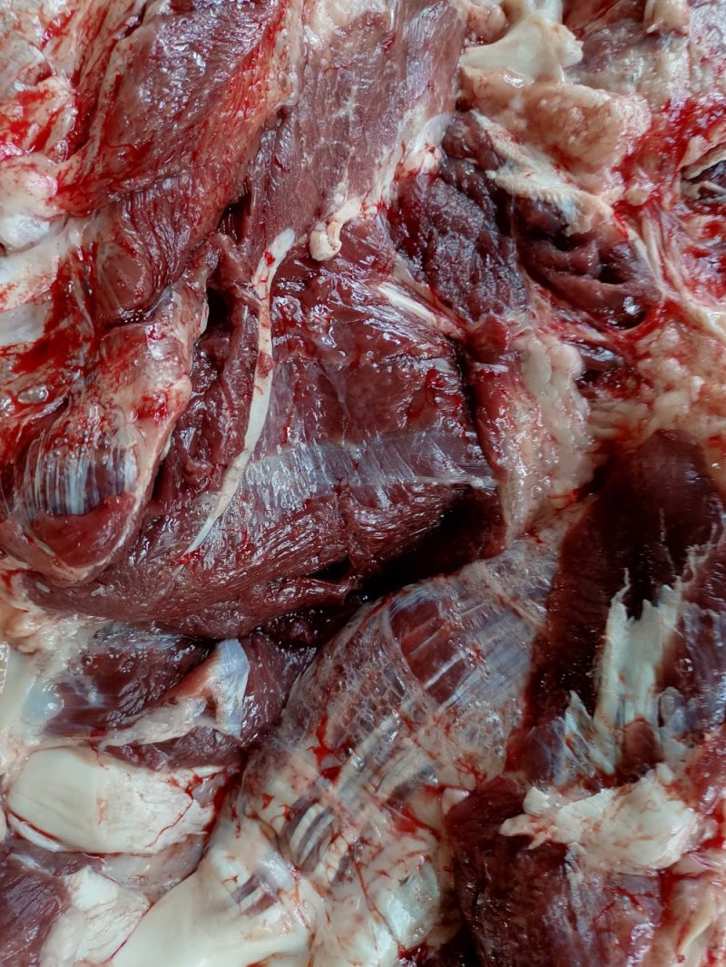 今日份鲜驴肉，现杀现宰，无注水
