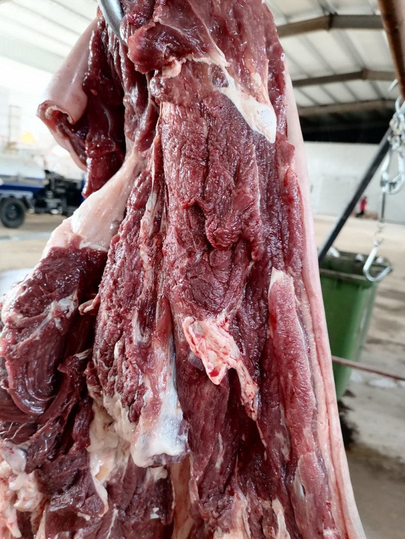 今日份鲜驴肉，现杀现宰，无注水